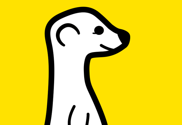 meerkat
