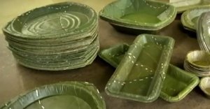 Leaf-Republic-plates